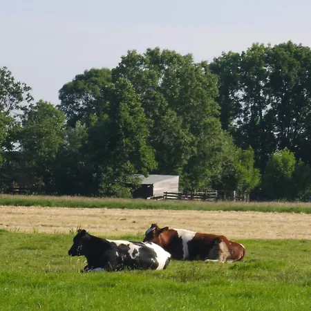 Camping Trekkershut - De Hollandse Boerderij *