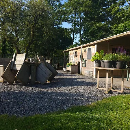 캠프장 Trekkershut - De Hollandse Boerderij